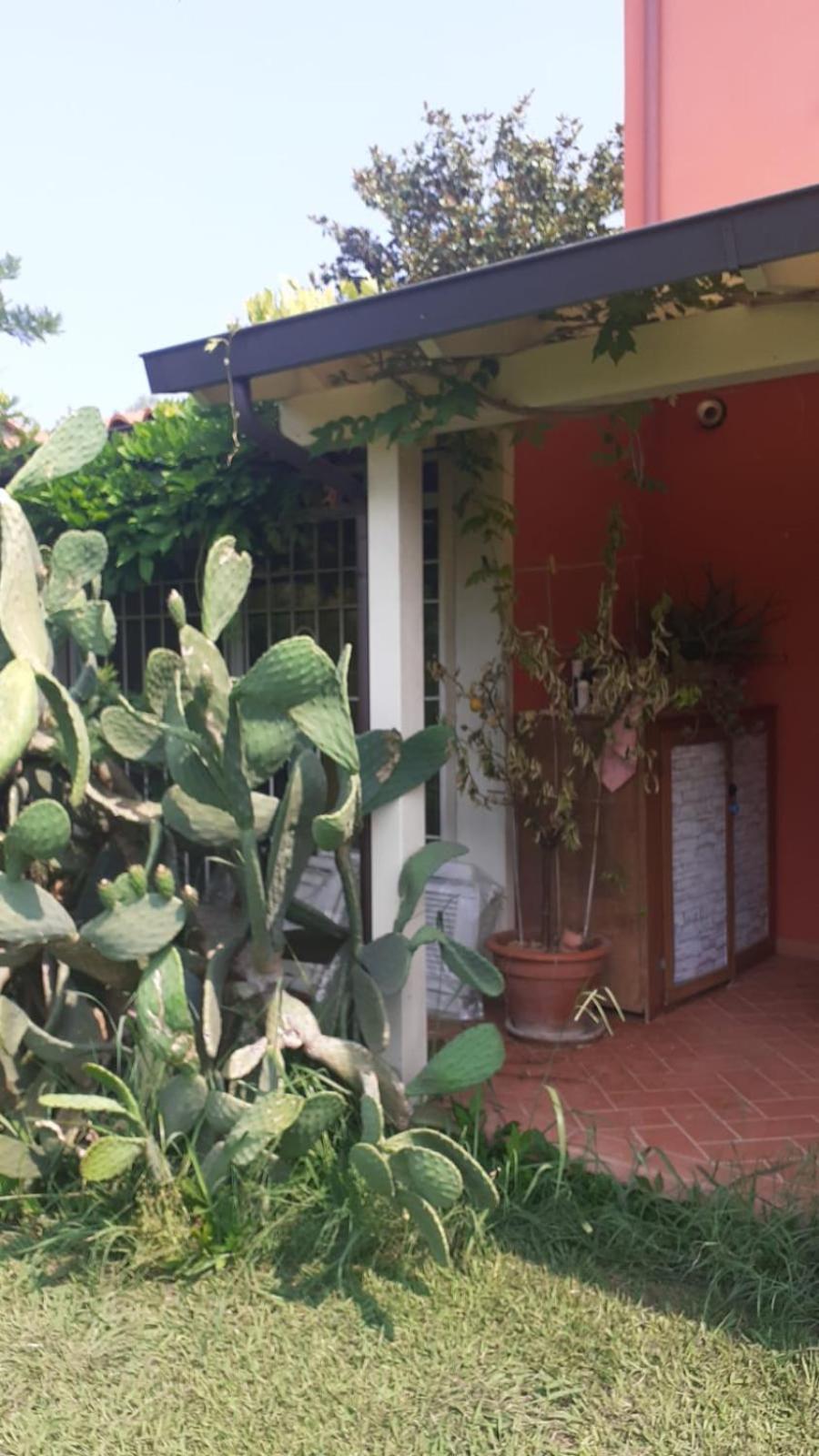 La Casa Delle Buone Letture Villa Lucca Ngoại thất bức ảnh